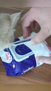 Pet Cleaning Wipes Cat Dog Wet Tissue Non Woven Grooming Wipes Alcohol Free Skin Friendly Pet Care Supplies 80 Sheets
