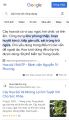 Cây hoa sói ướp trà thơm lừng, cây thuoc dược liệu, cây cảnh. 