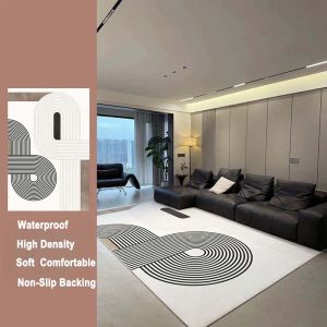 Living Room Carpet Minimalist Stain Resistant Wash Free Sofa and Coffee Table Rug Bedside Carpet