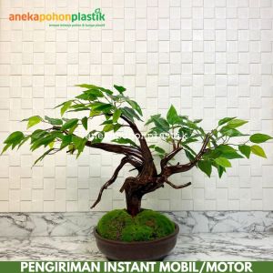 Pohon Hias Bonsai Latex Artificial Pot Semen Bulat D35 Tanaman Plastik Imitasi Dekorasi Meja Ruangan