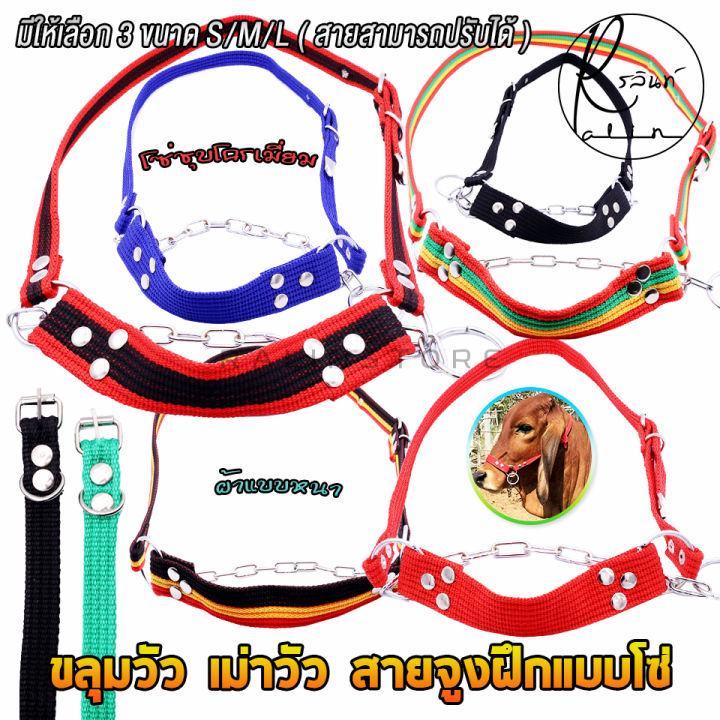 ขลุมวัวโซ่สแตนเลสชุบโครเมี่ยม ปรับยาวได้