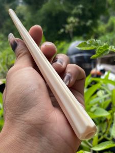 pipa gading asli lokal gg segitiga blimbing bening 15cm tebal