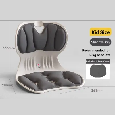 BKT Chair Support Lumbar Support Seat Cushion Chair Back Support Back Pain Waist Cushion Ergonomic Chair Sitting Posture Study Office Chair Waist Support Cushion Long Term Sitting 护腰坐垫椅