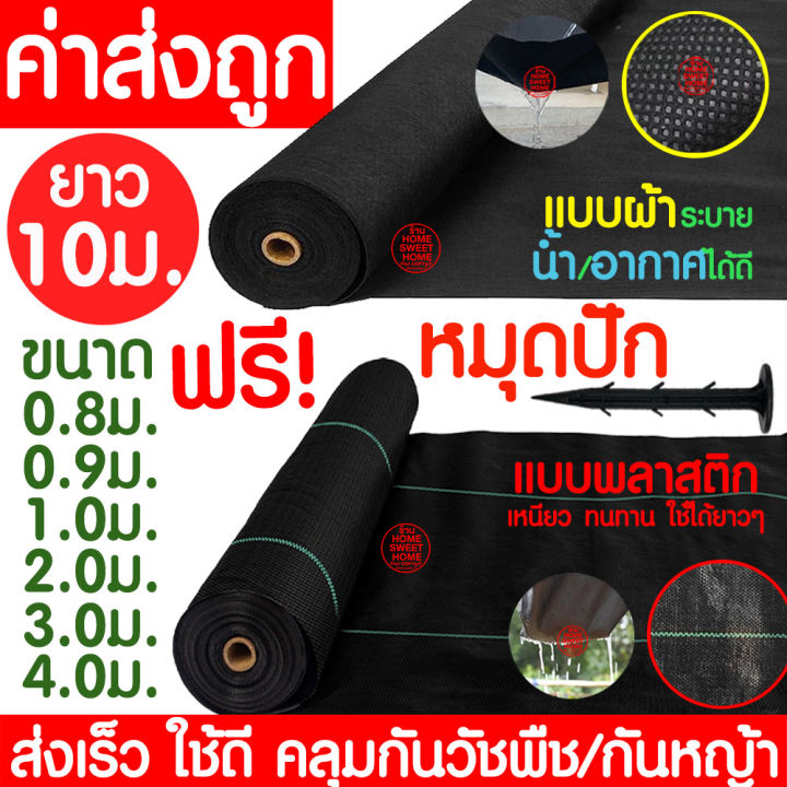 6 อันดับผ้าคลุมวัชพืชและพลาสติกคลุมดินยอดนิยมปี 2026 จัดการสวนสวยไร้หญ้ารบกวน!
