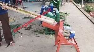 Máy băm chuối mịn gắn mô tơ 15kw(2HP)