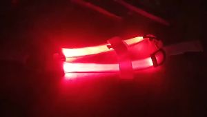 2026 Hot Sale [ Shipped from China ]LEDSupplies LED Luminous dog harness for medium and large dogs glow-in-the-dark dog aquarium light  ledB3