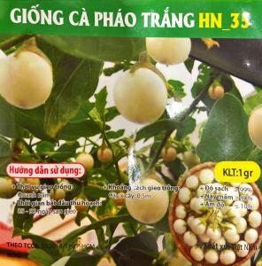 Hạt giống Cà Pháo trắng Cà Pháo tím - Gói 1gr - Trồng quanh năm