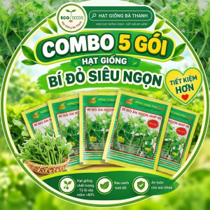 [EcoSeeds] Combo Tiết Kiệm 5 Gói Hạt Giống Bí Đỏ Siêu Ngọn - Sinh Trưởng Mạnh Siêu Ngọn - Gói 20g