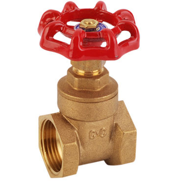 Brass Gate Valve 1/2 INCH , 3/4 INCH , 1 INCH | Lazada