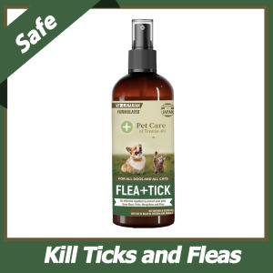 Shampoo Anti Itch Cat Shampoo Dog Shampoo Shiny Coat Syampu Kucing  Grooming