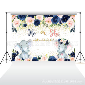Ready stock sa local warehouseBlue and pink floral elephant gender reveal photo banner party decoration photography backdrop