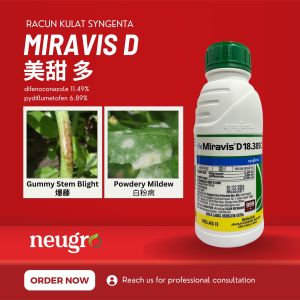 SYNGENTA Miravis D 18.38SC 500ml Racun Kulat Hawar Batang Bergam Antraknos Kulapuk Berdebu Fungicide Gummy Stem Blight  Anthracnose 治蔓枯病 炭疽病 白粉病