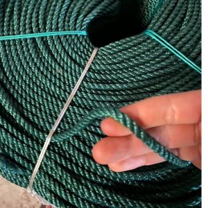 10 mét dây thừng xanh phi 5.6.7 mm căng chằng buộc kéo đa năng