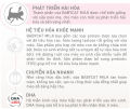 Sữa Cho Mèo Con Royal Canin Babycat Milk - Hộp 300gr/1 Gói Lẻ 100gr. 
