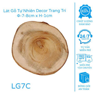 10 Trái Thông/Quả Thông Rừng Tự Nhiên Cao Cấp - Kích thước 8-11cm - Phụ Kiện Decor Vintage/Rustic
