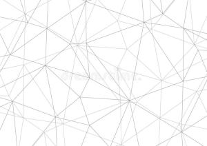 ELECTRIC POT COOKER 2L