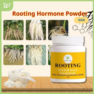 GrowFast Rooting Powder 50g - Premium Plant Propagation Hormone for Faster Root Development and Healthy Growth