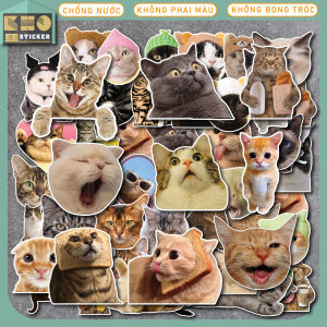Combo 50 Sticker Cat Meme chống nước sticker dán laptop điện thoại đàn guitar mũ bảo hiểm vali.