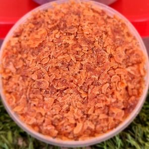 กะปิกุ้ง