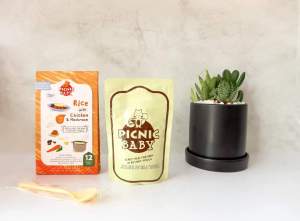 Picnic Baby Food Pouch Chicken+Egg Yolk+Rice+Mix Veggies (6Months +) (Halal Certified) 100G