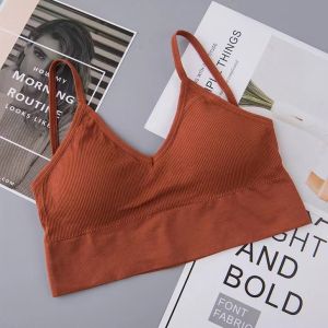 READY STOCK👑ES 179 Women singlet lingerisportseamlessyogajoggingbreastfeedingmaternity bra大U美背无缝女士裹胸抹胸打底内搭外穿少女无钢圈背