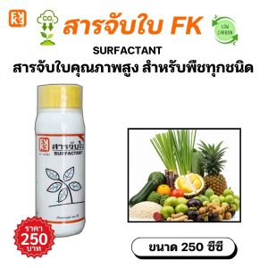 ปุ๋ยฮิวมิค FK ปลูกชมพู่ คาร์บอนต่ำ ช่วยให้ผลผลิตดก เร่งโต ใบเขียว ลดต้นทุน เพิ่มคุณภาพผลผลิต