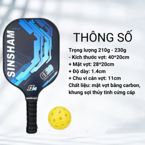 SINSHAM GT70 High-Quality Carbon Pickleball Paddle 14mm Tempered Glass Fiber Graphite Long Handle with Bag and Balls - New