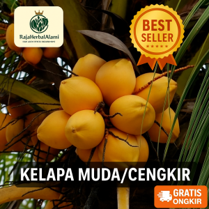 Buah Kelapa Cengkir Kuning / Kelapa Gading | COD