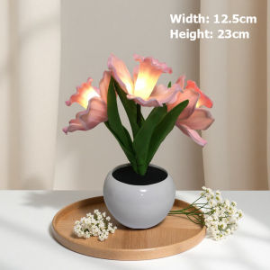 โคมไฟกลางคืนรูปดอกทิวลิป โคมไฟตั้งโต๊ะลายดอกไม้ตกแต่งบรรยากาศ ของตกแต่งข้างเตียงนอน ของขวัญสำหรับเด็กผู้หญิง