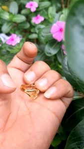 Cincin Rel Tempahan Lapis Emas 24K