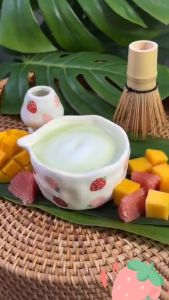 Vixplorn Ceramic Matcha Bowl Japanese Style Hand Pinched Irregular Tea Bowl With Spout 550ml