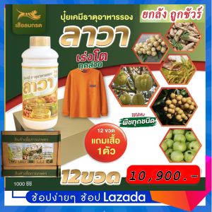 ปุ๋ยลาวา-Lawa(ยกลัง12ขวด)ขวดละ1ลิตร ช่วยบำรุงให้พืชเจริญเติบโตได้ทุกส่วนลำต้นแข็งแรงต้านทานต่อโรคพืช