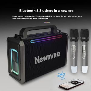 Portable Handheld Wireless Karaoke Speaker Bluetooth With Mic RGB Light TF Card HiFi Bass Outdoor KTV Party/Karaoke M302