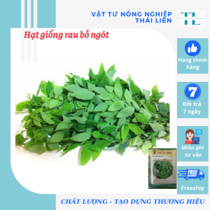 Hạt Giống Bồ Ngót Rau Bồ Ngót Dễ Trồng Năng Xuất Cao - Giống Tốt Bộ Thu