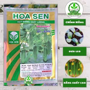 Hạt Giống Dưa Leo F1 VL-640 HOA SEN (Gói 10gr)