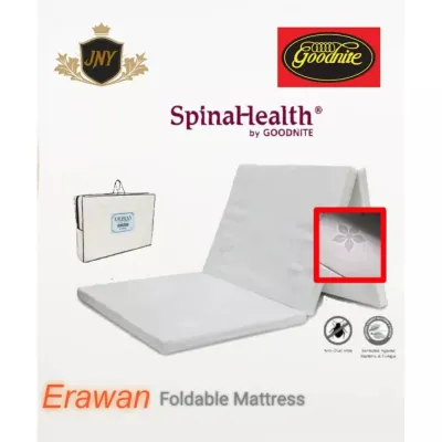 Goodnite SpinaHealth Single Foldable Premium Rebonded Foam Mattress [Free Carry Bag]