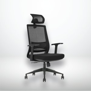 OTO Official Store OTO LX-103 Lumbarax Ergonomic Chair