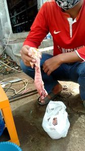 gilingan daging listrik... ukuran 22
