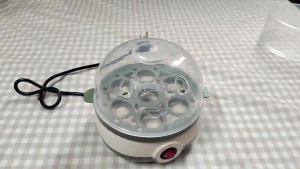 In Stock Small Egg Cooker Multifunctional Household Dormitory Large Capacity Hot Spring Egg Breakfast Magic Automatic Power-off Egg Steamer