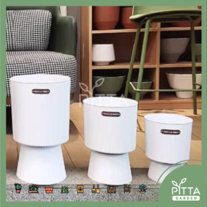 White Line Designed  Round Plastic Pot with hole / tray 白色条纹设计加厚塑料花盆(PTG0592/1/0)