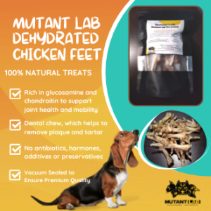 Cheapest 80g Mutant Lab All Natural Premium Quality Treats + Dehydrated Chicken Feet 10-18 pcs