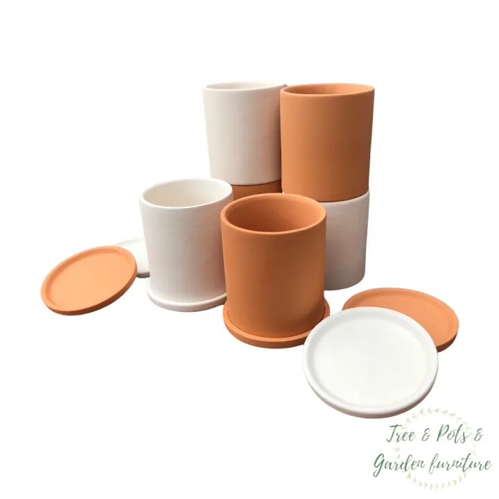 กระถางดินเผาทรงกระบอกพร้อมจานรอง สำหรับแคคตัสและไม้อวบน้ำ