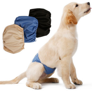 DY Loving Male Dog Physiological Belt Anti-harassment Dog Diaper Belly Protector Teddy Golden Retriever Washable Mesh Breathable Pet Hygiene Sanitary Briefs