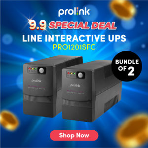 Special Bundle of 2  PRO1201- 1200VA 600W UPS  with AVR for Power Backup