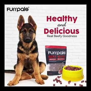 Furrpals Beef Bites  Snack  Treats Dog Treats Beef Cube Beef Stick Dog Snack 500g/pack