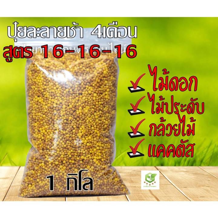 9 อันดับ ปุ๋ยและอาหารเสริมพืช ยี่ห้อไหนดี? อัปเดตปี 2025