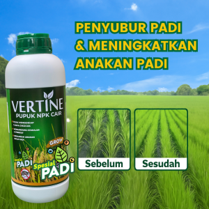 VERTINE Grow Padi - Pupuk Cair Multi-Pak untuk Anakan Padi Gemuk dan Lebat dengan ZPT dan GA3