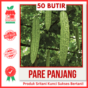 50 BIJI - BENIH PARE PANJANG BESAR UNGGUL PILIHAN