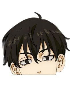 Tokyo Revenger Anime Peeker Sticker | Vinyl High Quality Sticker Waterproof Tokyo Manji peeker anime