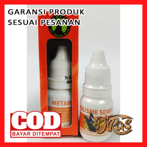 METABOLISME SEMPATI VITAMIN PENGGACOR BURUNG OBAT ANTI LESU || vitamin burung